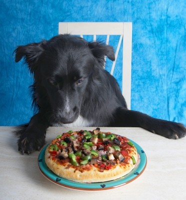 I don't know where to start
Ключові слова: Barney Book Border Collie Collies Cooking For Dogs Dog Dogs Eat Eating Pizza Recipes