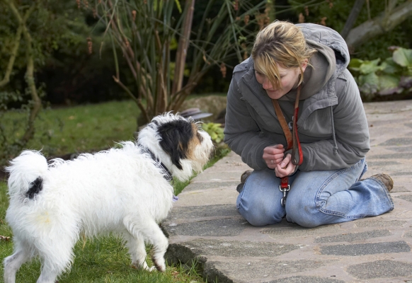 Hmmm, have you got something interesting for me?
Palabras clave: Dog Dogs Kate Muki Parson Russell Terrier Terriers