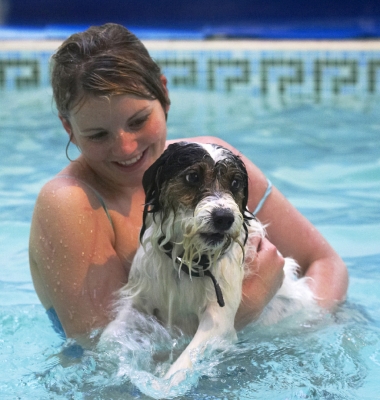 Actually, this doesn't feel too bad
Keywords: Dog Dogs Kate Muki Parson Russell Terrier Play Playtime Pool Swim Swimming Terriers