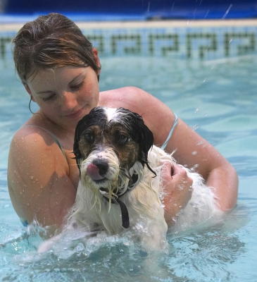 I feel a bit wet
Schlüsselwörter: Dog Dogs Kate Muki Parson Russell Terrier Play Playing Playtime Pool Swim Swimming Terriers Tongue