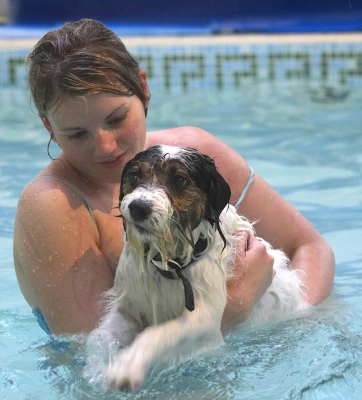 Tell me again, how does it go?
Palabras clave: Dog Dogs Kate Muki Parson Russell Terrier Play Playing Playtime Pool Swim Swimming Terriers