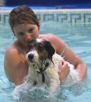 I am trying, honest
Palabras clave: Dog Dogs Kate Muki Parson Russell Terrier Play Playing Playtime Pool Swim Swimming Terriers
