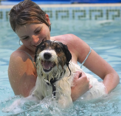 Ha, ha, I'm the one with the beautiful girl
Palabras clave: Dog Dogs Kate Laugh Muki Parson Russell Terrier Play Playing Playtime Pool Smile Swim Swimming Terriers