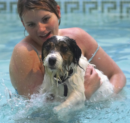 Gotta concentrate now
Ключові слова: Dog Dogs Kate Muki Parson Russell Terrier Play Playing Playtime Pool Splash Splashing Swim Swimming Terriers