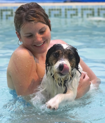 This water gets everywhere
Ключові слова: Dog Dogs Kate Muki Parson Russell Terrier Play Playing Playtime Pool Smile Swim Swimming Terriers Tongue