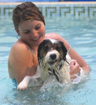 Well, you get in here and give it a go!!!!!!!1
Anahtar kelimeler: Dog Dogs Kate Muki Parson Russell Terrier Play Playing Playtime Pool Smile Swim Swimming Terriers