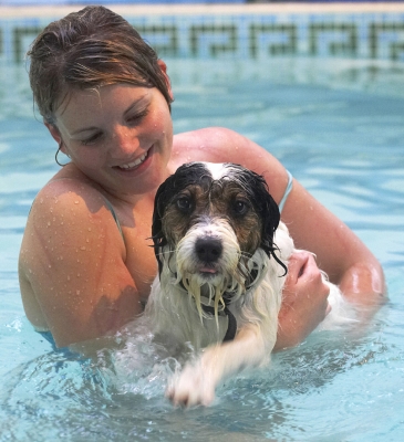 OK, steady does it
Trefwoorden: Dog Dogs Kate Muki Parson Russell Terrier Play Playing Playtime Pool Smile Swim Swimming Terriers