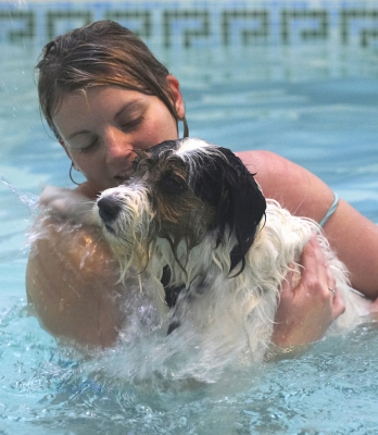OK, think I've had enough now
Ключови думи: Dog Dogs Kate Muki Parson Russell Terrier Play Playing Playtime Pool Splash Splashing Swim Swimming Terriers