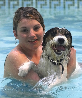 I'm having a really good time now ...........
Palabras clave: Dog Dogs Muki Parson Russell Terrier Terriers Swim Swimming Kate Tongue Pool
