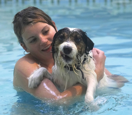 ........... I think
Ключові слова: Dog Dogs Muki Parson Russell Terrier Terriers Swim Swimming Pool Kate