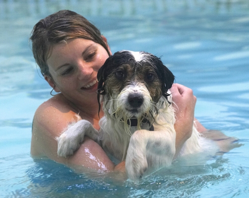 You just wait 'til I see Mum and Dad!!
Palabras clave: Dog Dogs Muki Parson Russell Terrier Terriers Kate Pool Swim Swimming Smile