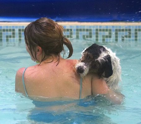 OK, can I get out now?
Mots-clés: Dog Dogs Kate Muki Parson Russell Terrier Pool Swim Swimming Terriers