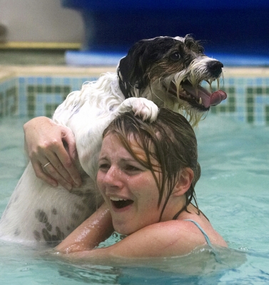 C'mon, time to practice your lifeguard skills
Keywords: Dog Dogs Kate Muki Parson Russell Terrier Play Playing Playtime Swim Swimming Terriers Tongue