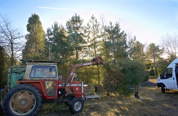 Moving the Christmas Tree to our Truck
We'd rented a panel van from Hertz, and Marjorie, Tapa, and I headed down to Gloucestershire to pick up the tree.
Schlüsselwörter: Christmas Tree Christmas Trees Plantation Plantations Tractor Tree Trees