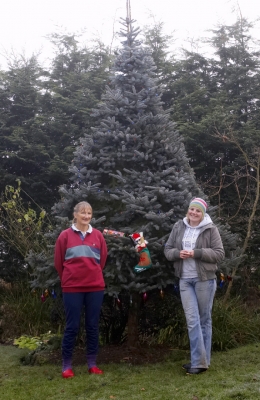 I wonder what Father Christmas is gonna bring us
Palabras clave: Cathy Christmas Cracker Kate Lights Smile Smiling Stocking Tree Women
