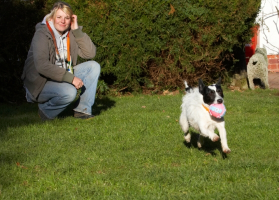 And, another great catch
Keywords: Ball Dog Dogs Jack Russell Terrier Kate Play Playing Playtime Ringo Run Running Terriers