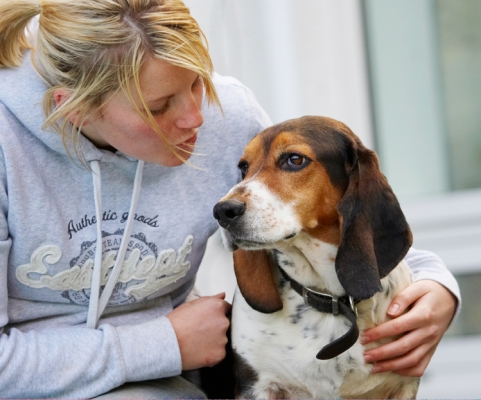 I'm in love!!!!!!!!!!1
Keywords: Bassett Blonde Dog Dogs Hound Hounds Humph Humphrey Kate Play Playing Playtime Woman
