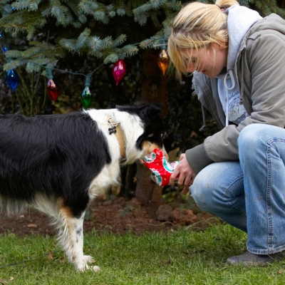I still can't see what it is
Schlüsselwörter: Blonde Border Collie Christmas Collies Gifts Kate Open Opening Paper Play Playing Playtime Presents Stinky Tree Woman Wrapping