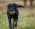 2q9w4184.jpg