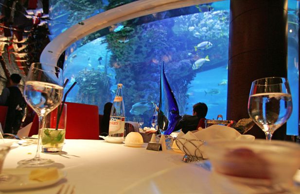 Underwater Seafood Restaurant -- Burj al Arab Hotel
The view from our table at the underwater seafood restaurant.  I don't think we were [i]really[/i] underwater, but there was a large tank of salt water fish to keep us entertained as we ate their cousins.
Ključne besede: Underwater restaurant Burj al Arab Hotel Dubai