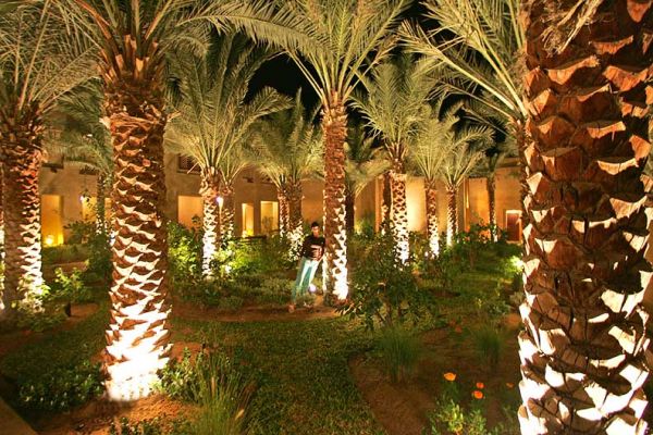 Marjorie in the Garden
A date palm garden in an inner courtyard at the Bab Al Shams Hotel, in the desert in Dubai.
Ključne besede: date palm Marjorie Bab al Shams nightime garden Dubai