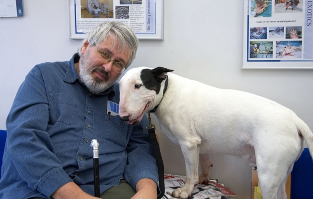 Kiko and Me
Kiko trying to get into my lap at the Animal Health Trust in Newmarket.
Anahtar kelimeler: Craig Kiko English Bull Terrier Animal Health Trust Newmarket