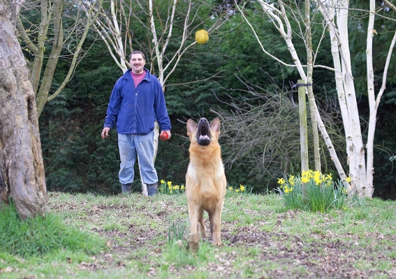 I got it
Anahtar kelimeler: Sasha German Shepherd Zbigniew