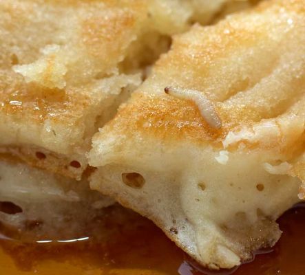 Saturday Morning Breakfast - Home Made Pancakes with Worms
One of our week-end treats is to have pancakes with "real" (i.e. fake) maple syrup.    Marjorie cooked up a batch on Saturday.  They looked good, but my first bite felt, er, "crunchy."  I looked down on my plate and saw this little critter.   Where had it come from?!  A further search yielded a veritable collection of moths which we seem to have imported in some dates or nuts from Dubai.  Yum, yum.  We had toast and spring cleaned the cupboard!!
Avainsanat: pancakes worm critter breakfast maple syrup Saturday morning