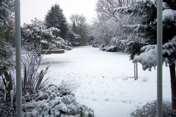Winter Morning at Whitecroft
I woke up on February 8 2007, and this was the view from the door to our front lounge --- looking towards Colletts Green Road.
Anahtar kelimeler: Whitecroft snow winter garden
