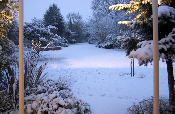 Whitecroft Garden in the Snow
About 7:00 AM on February 8 2007 --- snow!  The view from our front lounge, looking out over the front garden.
Trefwoorden: Whitecroft garden snow winter