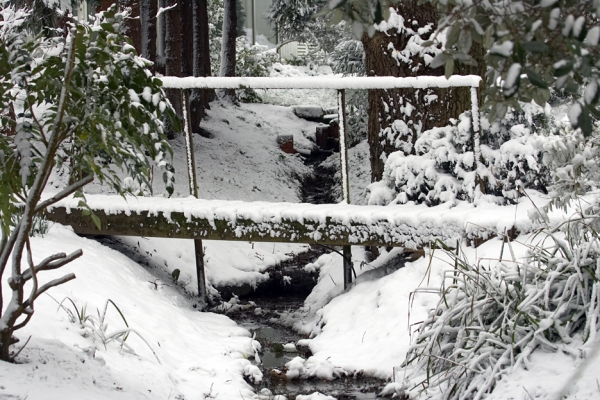 Bridge Over The Back Stream
The wooden bridge over the back stream at Whitecroft, in the snow.
Anahtar kelimeler: Whitecroft bridge snow winter