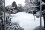 Feb-08-07-0005.jpg