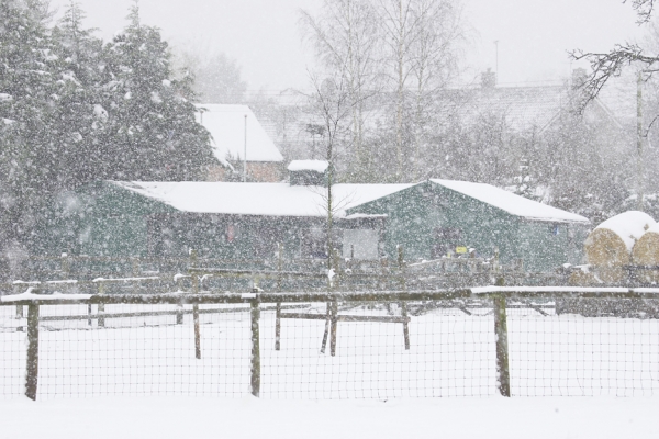 The Stable -- In The Snow
The stable at Lucies Farm in the middle of (for us) a heavy snowfall, February 9 2007
Trefwoorden: stable snow fall snowfall