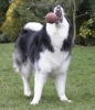 2q9w6959.jpg