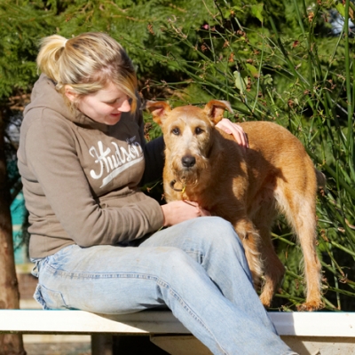 This is my new best friend Kate
Ключові слова: Animal Animals Blonde Canine Canines Dog Dogs Irish Terrier Kate Land Mammal Land Mammals Play Playing Playtime Smile Smiling Terrestrial Mammal Terrestrial Mammals Terriers Tintin Woman