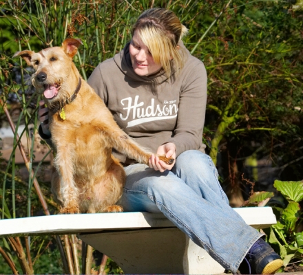 Boy, this is hot
Keywords: Animal Animals Blonde Canine Canines Dog Dogs Irish Terrier Kate Land Mammal Land Mammals Play Playing Playtime Terrestrial Mammal Terrestrial Mammals Terriers Tintin Tongue Woman
