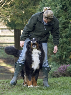 I AM keeping in step
Λέξεις-κλειδιά: Animal Animals Becky Bernese Blonde Canine Canines Dance Dancing Dog Dogs Land Mammal Land Mammals Mountain Murphy Play Playing Playtime Terrestrial Mammal Terrestrial Mammals Woman