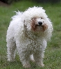 lq3v8642.jpg