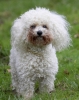 lq3v8673.jpg