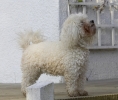 lq3v8791.jpg