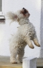 lq3v8794.jpg