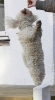 lq3v8806.jpg