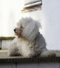 lq3v8823.jpg
