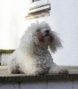 lq3v8824.jpg
