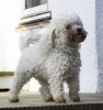 lq3v8840.jpg