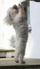 lq3v8856.jpg