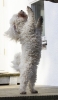 lq3v8857.jpg