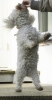 lq3v8884.jpg