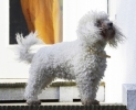 lq3v8907.jpg