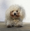 lq3v8920.jpg